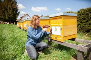 Eine Welt ohne Bienen ist undenkbar. Daher feiern wir heute den Weltbienentag